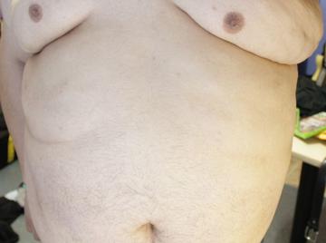 Image thumbnail of Gay bears