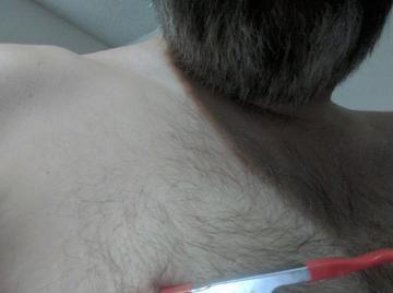 Image thumbnail of Gay bears