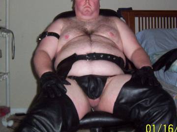 Image thumbnail of Gay bears