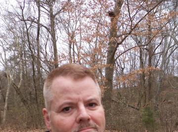 Image thumbnail of Gay bears