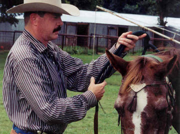 Image thumbnail of Gay bears