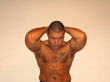 Image thumbnail of Gay bears