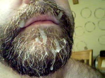 Image thumbnail of Gay bears