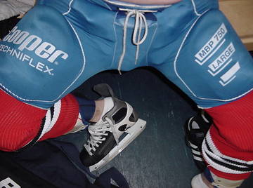 Image thumbnail of Gay bears