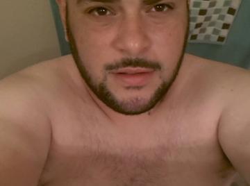 Image thumbnail of Gay bears