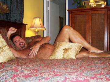 Image thumbnail of Gay bears