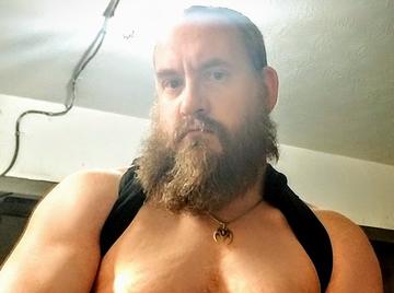 Image thumbnail of Gay bears