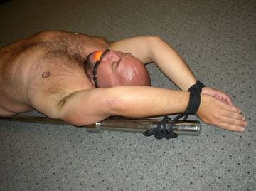 Image thumbnail of Gay bears