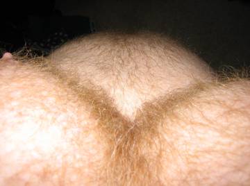 Image thumbnail of Gay bears