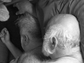 Image thumbnail of Gay bears