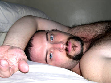 Image thumbnail of Gay bears