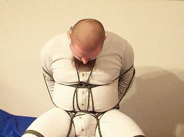 Image thumbnail of Gay bears