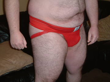 Image thumbnail of Gay bears