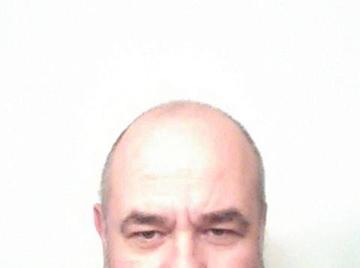 Image thumbnail of Gay bears