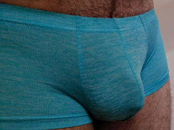 Image thumbnail of Gay bears