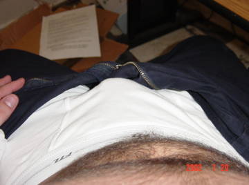 Image thumbnail of Gay bears