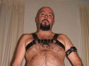 Image thumbnail of Gay bears