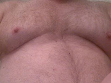 Image thumbnail of Gay bears