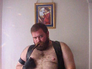 Image thumbnail of Gay bears