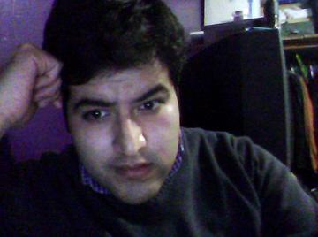 Image thumbnail of Gay bears