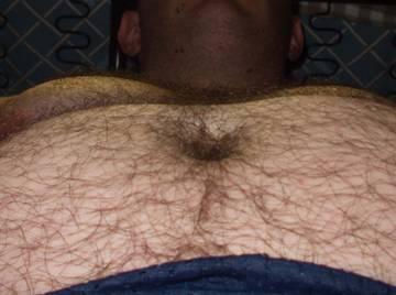 Gay bear - General Bellies