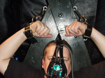 Image thumbnail of Gay bears