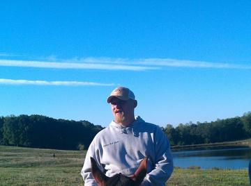 Image thumbnail of Gay bears