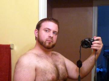 Image thumbnail of Gay bears