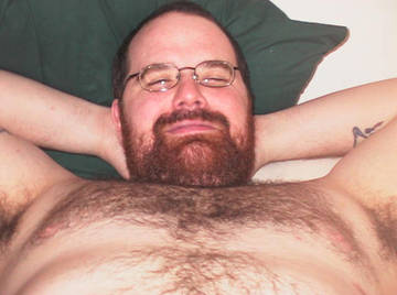 Image thumbnail of Gay bears