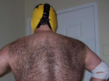 Image thumbnail of Gay bears