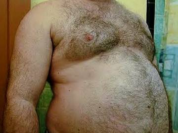 Image thumbnail of Gay bears