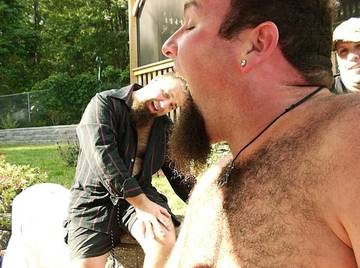 Image thumbnail of Gay bears