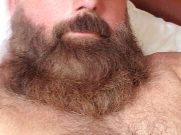 Gay bear - Beards Chests Daddies General Hairy