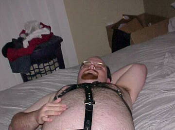 Image thumbnail of Gay bears