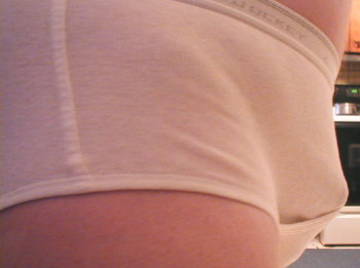 Image thumbnail of Gay bears