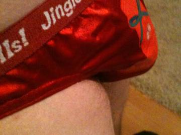 Image thumbnail of Gay bears