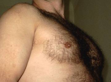 Image thumbnail of Gay bears