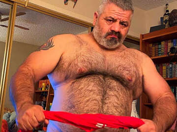 Image thumbnail of Gay bears