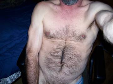 Image thumbnail of Gay bears