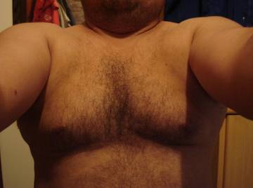 Image thumbnail of Gay bears