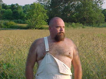 Image thumbnail of Gay bears