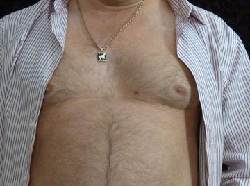 Image thumbnail of Gay bears