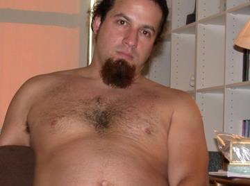 Image thumbnail of Gay bears