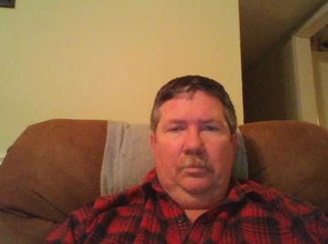 Image thumbnail of Gay bears