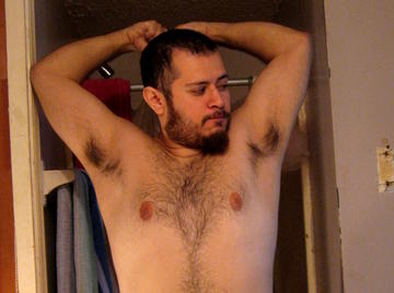 Image thumbnail of Gay bears