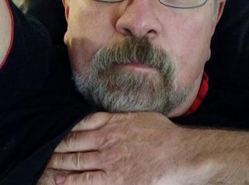 Image thumbnail of Gay bears