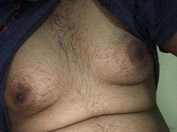 Image thumbnail of Gay bears