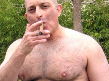 Image thumbnail of Gay bears