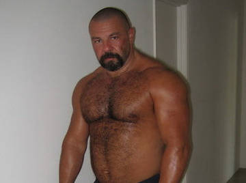 Image thumbnail of Gay bears