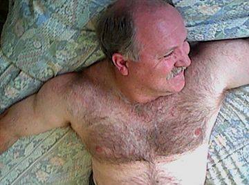 Image thumbnail of Gay bears